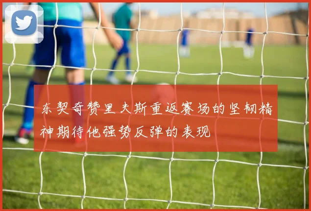 东契奇赞里夫斯重返赛场的坚韧精神期待他强势反弹的表现